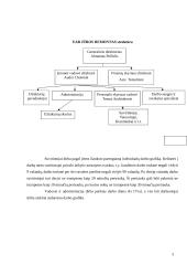 Darbo ir civilinė sauga: laivų remonto darbai UAB "Jūros remontas" 5 puslapis