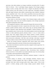 Darbo išteklių vadyba 18 puslapis