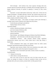 Darbo įtaka visuomenės sveikatai 4 puslapis