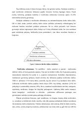 Darbo jėgos sektorinė ir profesinė sudėtis bei jos kitimas Lietuvoje transformacijų laikotarpiu 13 puslapis