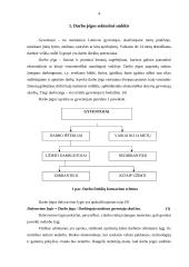 Darbo jėgos sektorinė ir profesinė sudėtis bei jos kitimas Lietuvoje transformacijų laikotarpiu 4 puslapis