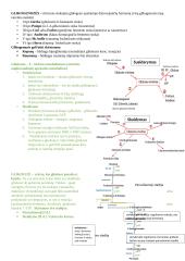 Angliavandenių konspektai 12 puslapis