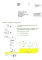 Angliavandenių konspektai 13 puslapis