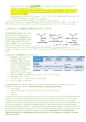 Angliavandenių konspektai 14 puslapis