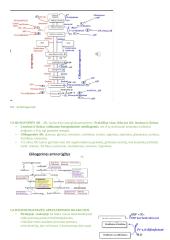 Angliavandenių konspektai 15 puslapis