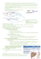 Angliavandenių konspektai 16 puslapis
