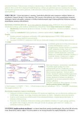 Angliavandenių konspektai 17 puslapis
