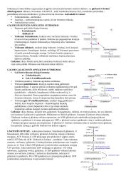 Angliavandenių konspektai 18 puslapis