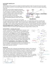 Angliavandenių konspektai 19 puslapis