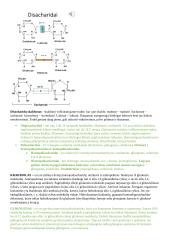 Angliavandenių konspektai 3 puslapis