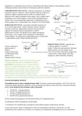 Angliavandenių konspektai 5 puslapis