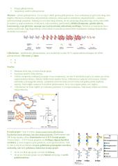 Angliavandenių konspektai 7 puslapis