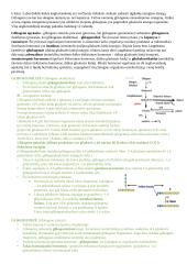 Angliavandenių konspektai 9 puslapis