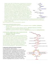 Angliavandenių konspektai 10 puslapis
