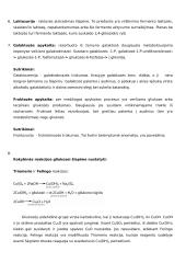 Baltymų ir fermentų konspektas 3 puslapis