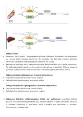 Baltymų ir fermentų konspektas 5 puslapis