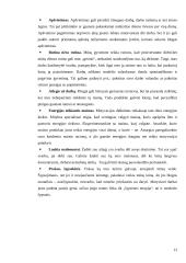 Darbo motyvacija organizacijoje bei kas ją lemia 13 puslapis