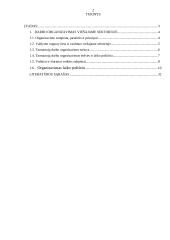 Darbo organizavimas savivaldybėse 2 puslapis