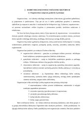 Darbo organizavimas savivaldybėse 4 puslapis