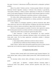 Darbo organizavimas savivaldybėse 10 puslapis