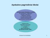 Apskaita verslo įmonėje (skaidrės) 2 puslapis