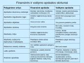 Apskaita verslo įmonėje (skaidrės) 12 puslapis