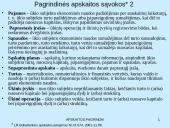 Apskaita verslo įmonėje (skaidrės) 14 puslapis