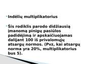 Pinigų politika (skaidrės) 13 puslapis