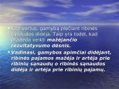 Gamybos sąnaudos  10 puslapis