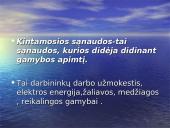 Gamybos sąnaudos  3 puslapis