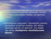 Gamybos sąnaudos  4 puslapis