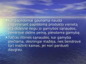 Gamybos sąnaudos  9 puslapis