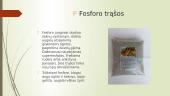 Trąšos. Pagrindiniai maistiniai elementai 7 puslapis