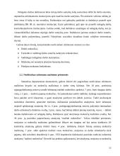 Neoficialaus užimtumo fenomenas Lietuvoje: padėtis ir tendencijos 11 puslapis