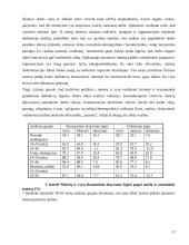 Neoficialaus užimtumo fenomenas Lietuvoje: padėtis ir tendencijos 16 puslapis