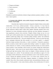 Neoficialaus užimtumo fenomenas Lietuvoje: padėtis ir tendencijos 18 puslapis