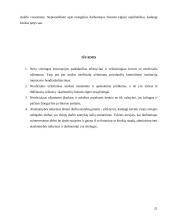 Neoficialaus užimtumo fenomenas Lietuvoje: padėtis ir tendencijos 20 puslapis