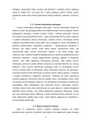 Darbo paklausa turizmo sferoje 12 puslapis