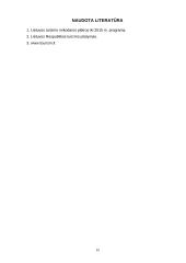 Darbo paklausa turizmo sferoje 15 puslapis