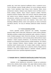 Darbo paklausa turizmo sferoje 10 puslapis