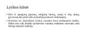 Lyrikos teorija 2 puslapis