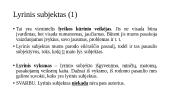 Lyrikos teorija 13 puslapis