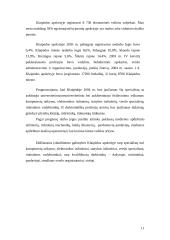 Darbo rinka Lietuvos rajonuose 11 puslapis