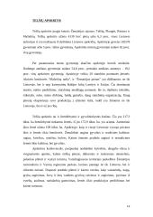 Darbo rinka Lietuvos rajonuose 14 puslapis