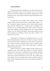 Darbo rinka Lietuvos rajonuose 14 puslapis