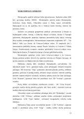 Darbo rinka Lietuvos rajonuose 16 puslapis