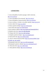 Darbo rinka Lietuvos rajonuose 19 puslapis