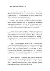 Darbo rinka Lietuvos rajonuose 4 puslapis