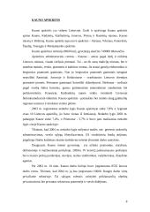 Darbo rinka Lietuvos rajonuose 8 puslapis