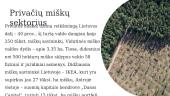 Privačių miškų sektoriaus SSGG (SWOT) analizė 3 puslapis